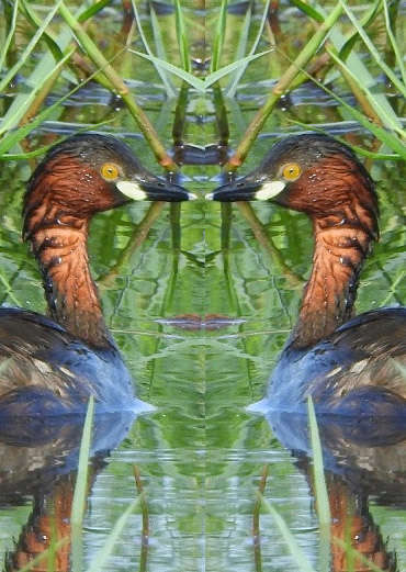 Tour image
