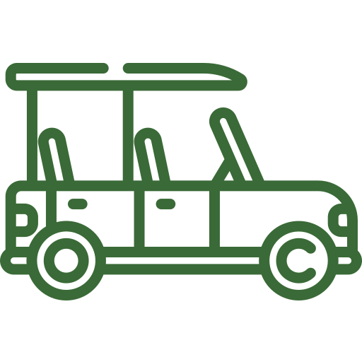 Safari